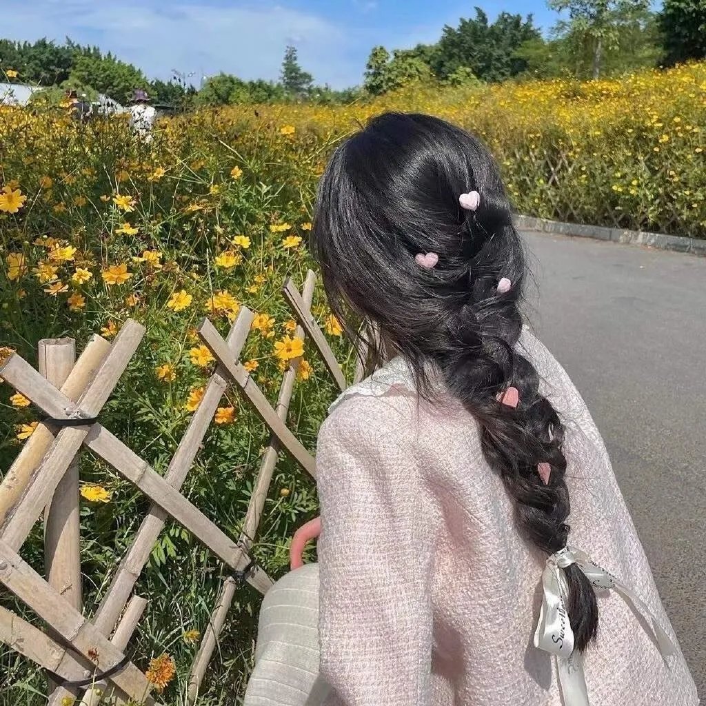 案中案